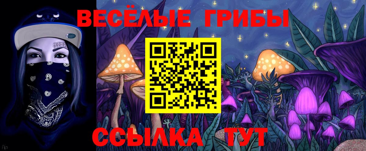 Псилоцибиновые грибы мухоморы  Псилоцибиновые грибы мицелий  Семилуки  купить закладку  Вход с VPN 