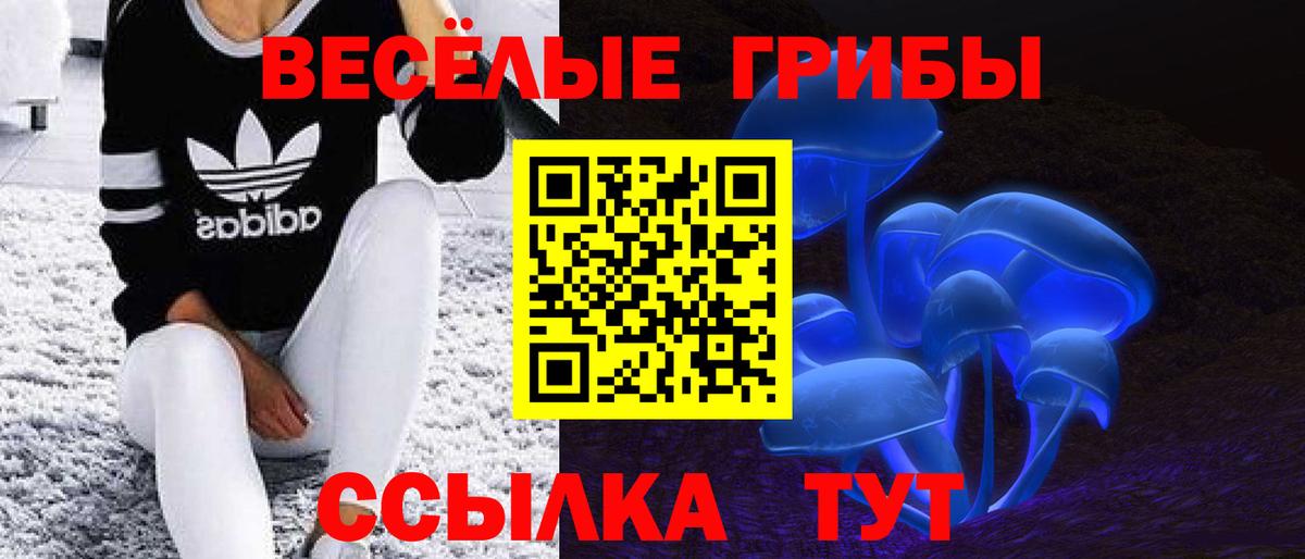 Псилоцибиновые грибы мухоморы Семилуки