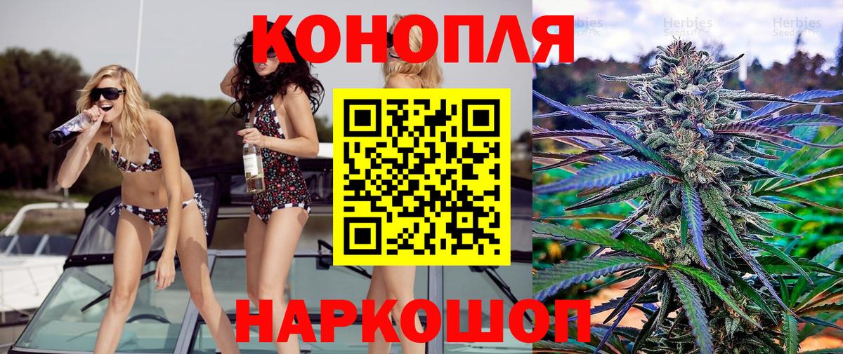 Конопля план  Вход с VPN  Шишки марихуана сатива  Шишки марихуана сатива  Семилуки 